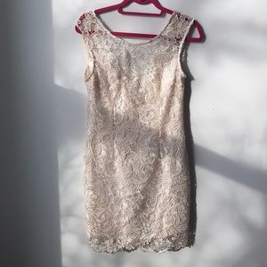 Francesca’s Aina Be Lace Dress